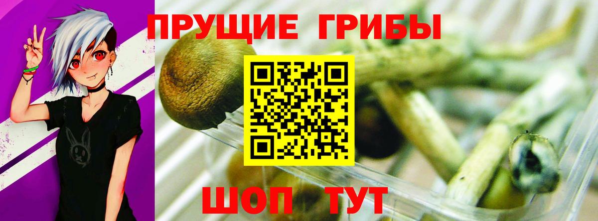 Галлюциногенные грибы GOLDEN TEACHER  Вход с VPN  Ессентуки 