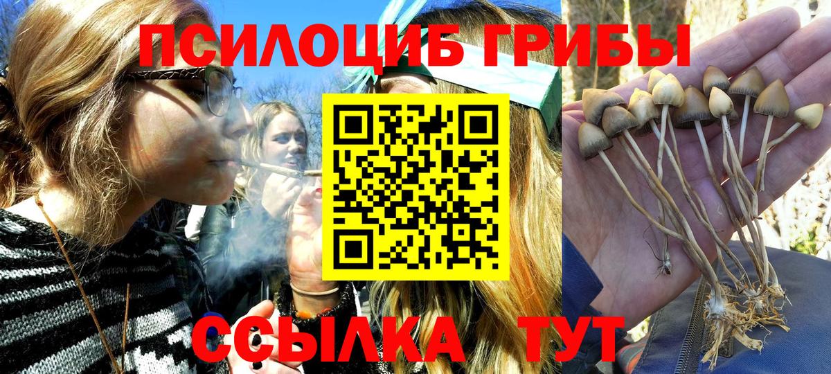 Псилоцибиновые грибы прущие грибы Ессентуки